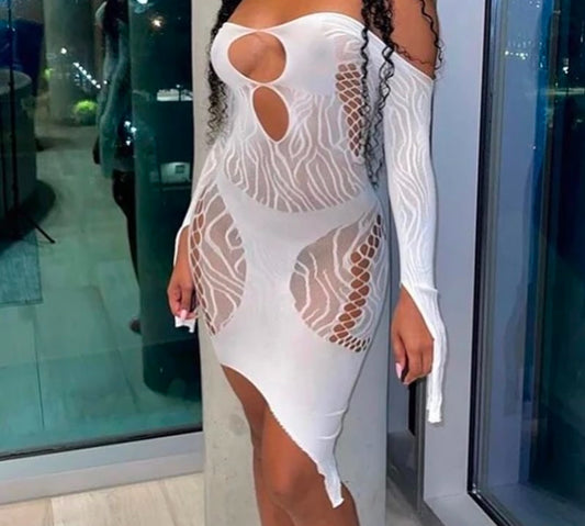 Sexy Mesh dress